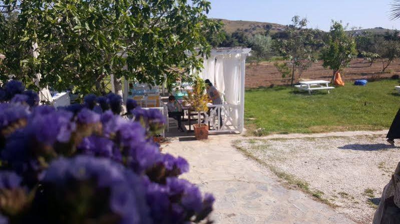 Madam Eleni Hotel Bozcaada Bagian luar foto